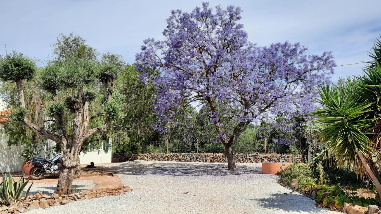 Rural Peace In The Algarve - Private Room With Kitchenette And Bathroom Aldeia dos Matos Eksteriør bilde
